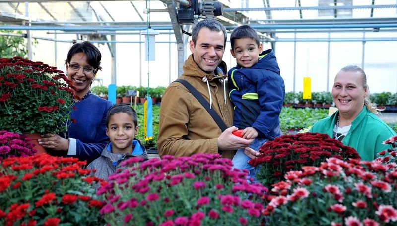 Des chrysanthèmes et un gros cœur