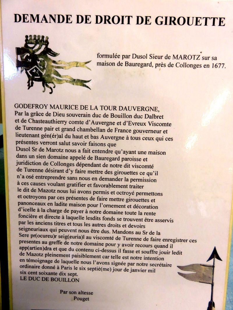 Les messagères des toits